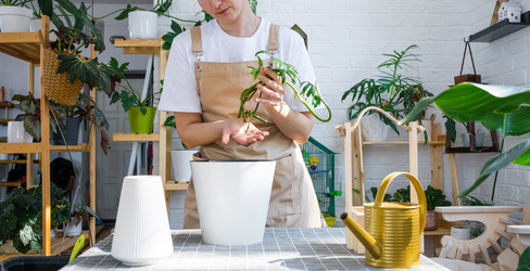 Similar image 21479491