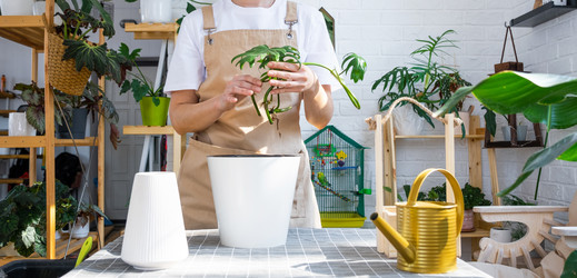 Similar image 21479493