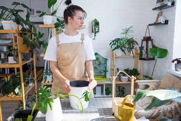 Similar image 21479495