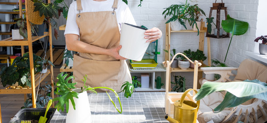 Similar image 21479497