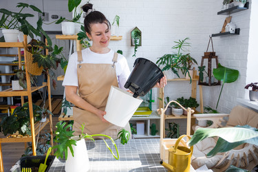 Similar image 21479503