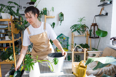 Similar image 21479509