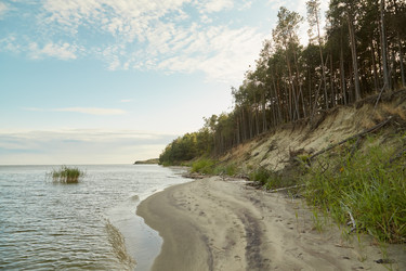 Similar image 21472341