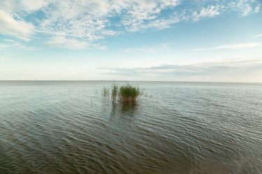 Similar image 21472343