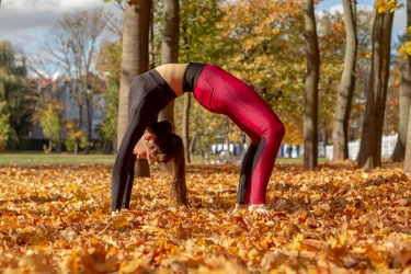 Similar image 21472353