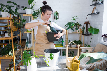 Similar image 21479513