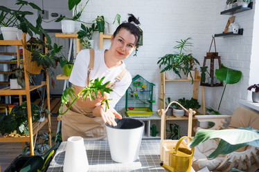 Similar image 21479517