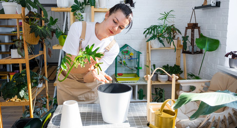 Similar image 21479519