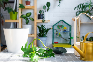 Similar image 21479521