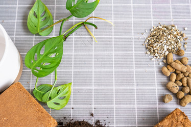 Similar image 21479524