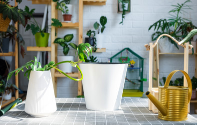 Similar image 21479525