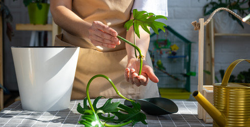 Similar image 21479527