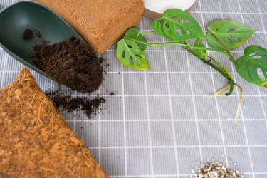 Similar image 21479528