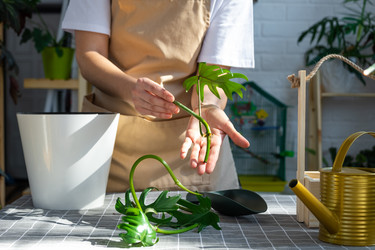 Similar image 21479529