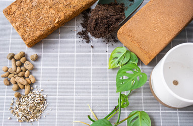 Similar image 21479530