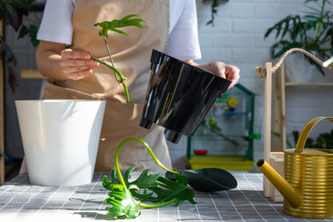 Similar image 21479531