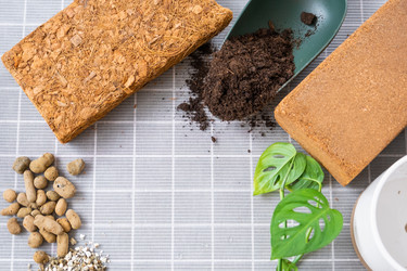 Similar image 21479532