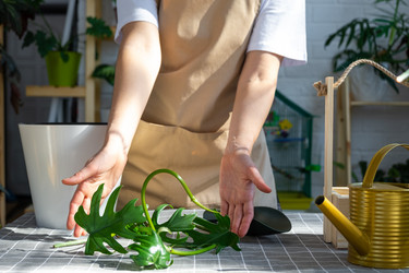 Similar image 21479533