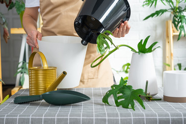 Similar image 21479537