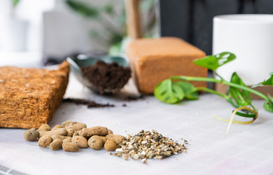 Similar image 21479540