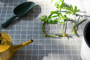 Similar image 21479541