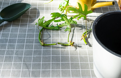 Similar image 21479543