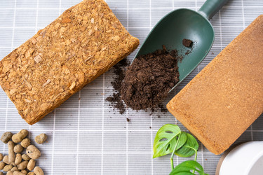 Similar image 21479544