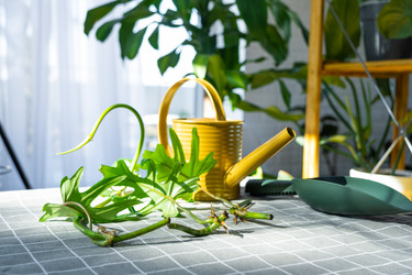 Similar image 21479547