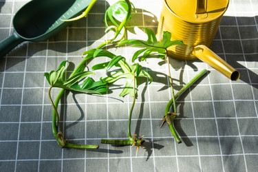 Similar image 21479549