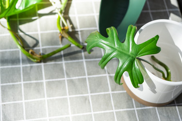 Similar image 21479555