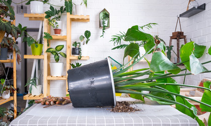 Similar image 21479556