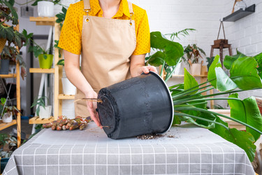 Similar image 21479558