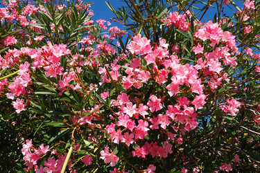 Similar image 21478260