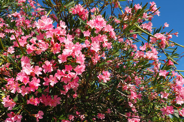 Similar image 21478261