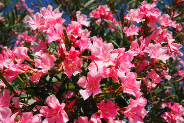 Similar image 21478262