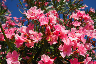 Similar image 21478263