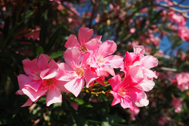 Similar image 21478264