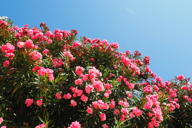 Similar image 21478272