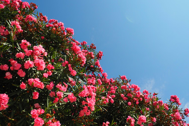 Similar image 21478273