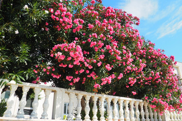 Similar image 21478274