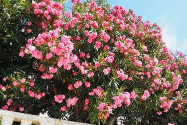 Similar image 21478275