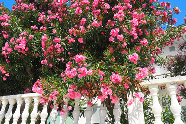 Similar image 21478276