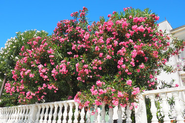 Similar image 21478278