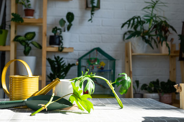 Similar image 21479561