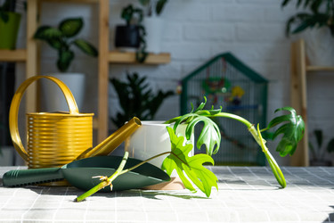 Similar image 21479563