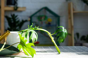 Similar image 21479565