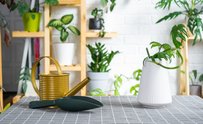 Similar image 21479567