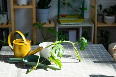 Similar image 21479568