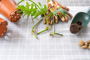 Similar image 21479570