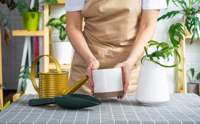 Similar image 21479573